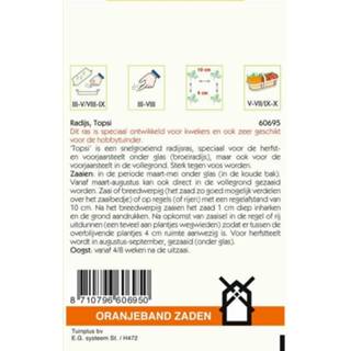 👉 Oranjeband Radijs Topsi Raphanus sativus - Radijs - 10 gram