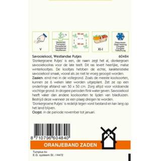 👉 Oranjeband Savooiekool Putjes Brassica oleracea - Kool - 5 gram