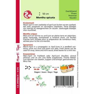 👉 Hortitops Kruizemunt Mentha spicata - Kruidenzaden - 1 g