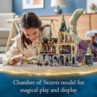 👉 Unisex LEGO Harry Potter Grote Zaal & Geheime Kamer bouwset (76389) 5702016913583