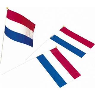 👉 Multi papieren papier active Holland zwaaivlaggetjes 39 cm