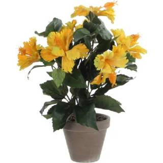 👉 Kunstplant geel grijze Hibiscus in pot H40 x D30 cm