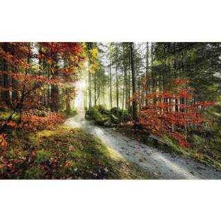 👉 Fotobehang Komar Feuerzungen Vlies 450x280cm 9-banen 4055065111341