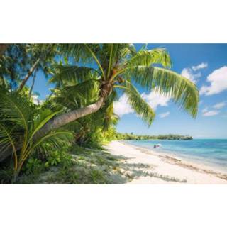 👉 Fotobehang Komar Fiji Dreams Boat Vlies 450x280cm 9-banen 4055065112010