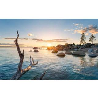 👉 Fotobehang Komar Final Light Vlies 450x280cm 9-banen 4055065111358