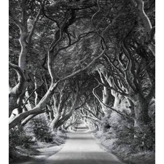 👉 Komar Forevenue Vlies Fotobehang 250x280cm 5-banen