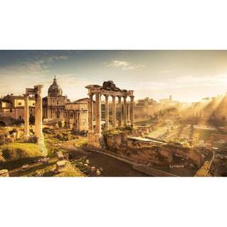 👉 Komar Forum Romanum Vlies Fotobehang 500x280cm 10-banen