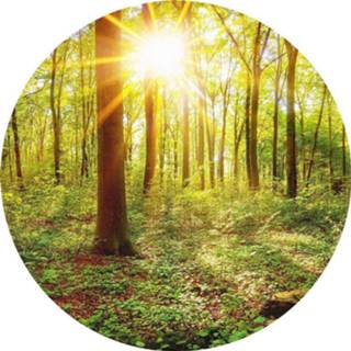 👉 Fotobehang Wizard+genius Deep In The Woods Vlies 140x140cm Rond 4063129077069