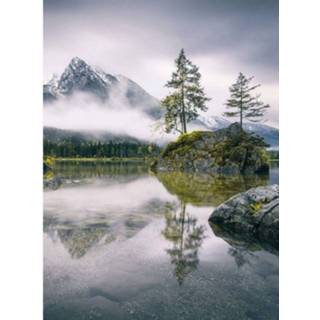 👉 Fotobehang Wizard+genius Foggy Day Vlies 192x260cm 4-banen 4063129076598