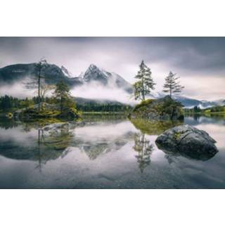 👉 Fotobehang Wizard+genius Foggy Day Vlies 384x260cm 8-banen 4063129057481