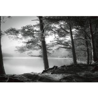 👉 Fotobehang Wizard+genius Forest Lake Vlies 384x260cm 8-banen 4063129075393