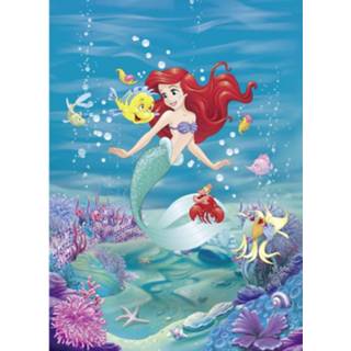 👉 Fotobehang Komar Ariel Singing 184x254cm 4036834440206