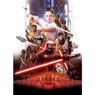 👉 Poster Komar Star Wars Ep9 Movie Rey Fotobehang 184x254cm 4-delig 4036834241131