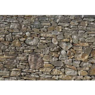 👉 Fotobehang Komar Stone Wall Vlies 368x248cm 4036834547271
