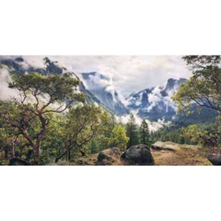 👉 Komar Unique Paradise Vlies Fotobehang 200x100cm 1-baan