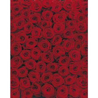 Fotobehang Komar Roses 194x270cm 4036834040772