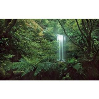 👉 Fotobehang Komar Secret Veil Vlies 450x280cm 9-banen 4055065112140
