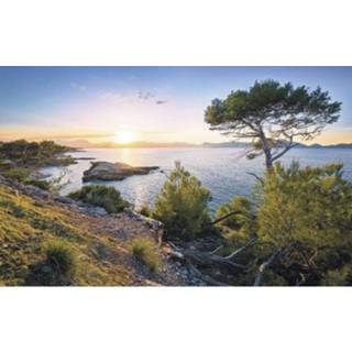 👉 Fotobehang Komar Southern Light Vlies 400x250cm 4-banen 4055065110634