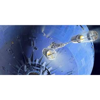 👉 Komar Star Wars Classic Rmq Death Star Assault Vlies Fotobehang 500x250cm 10-banen