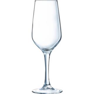 👉 Lineaal glas Arcoroc Lineal Champagneglas - 18 Cl Set-6 26102801956