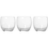👉 Waterglas transparant glas 6x Stuks Bolvormige Tumbler Waterglazen/drinkglazen 340 Ml - Glazen Drinkglas/waterglas 883314838909
