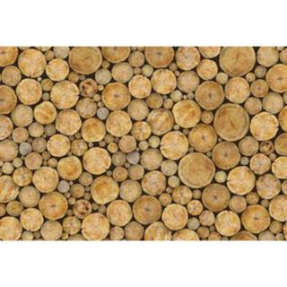 👉 Wizard+genius Logs Vlies Fotobehang 384x260cm 8-banen