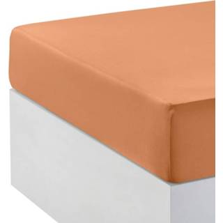 👉 Hoeslaken oranje voor boxspring Webschatz terra 4055706704758
