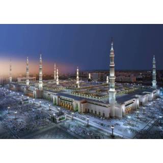👉 Fotobehang Komar Medina Mosque 388x270cm 4036834081072