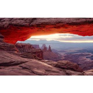 👉 Komar Mesa Arch Vlies Fotobehang 450x280cm 9-banen