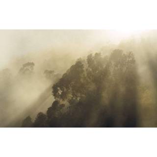 👉 Komar Misty Mountain Vlies Fotobehang 400x250cm 4-banen