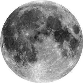 👉 Fotobehang Komar Moon 125x125cm Rond 4036834090159