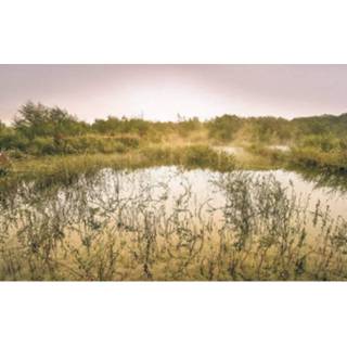 👉 Fotobehang Komar Morning View Ii Vlies 400x250cm 4-banen 4055065110658