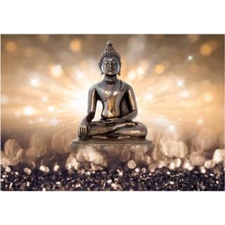 Fotobehang Artgeist Golden Enlightenment Vlies 7448148245212