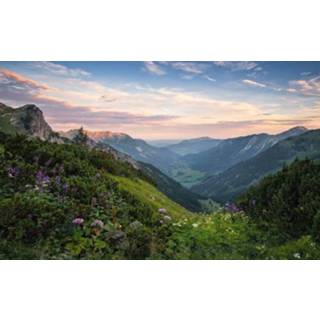 👉 Komar Naturpark Allgäuer Hochalpen Vlies Fotobehang 450x280cm 9-banen