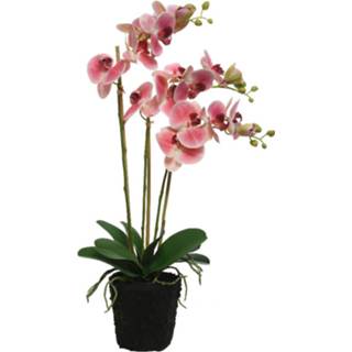 👉 Orchidee roze kunststof Kunstplanten/planten In Pot 62 Cm - Kunstplanten/nepplanten Kantoorplanten/woonkamer Planten 8720093958942