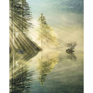 👉 Fotobehang Komar Indulgence Of Beauty Vlies 200x250cm 2-banen 4055065110184