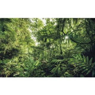 👉 Fotobehang Komar Into The Jungle Vlies 400x250cm 4-banen 4055065110412
