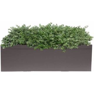 👉 Bruin Poetic Jardiniere Scala 60 - 3167897531219