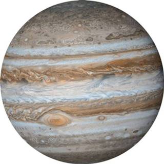 👉 Fotobehang Komar Jupiter 125x125cm Rond 4036834090135