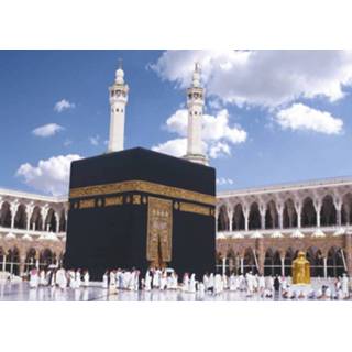 👉 Komar Kaaba Fotobehang 388x270cm