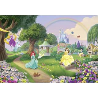 👉 Fotobehang Komar Disney Princess Rainbow 368x254cm 4036834084493