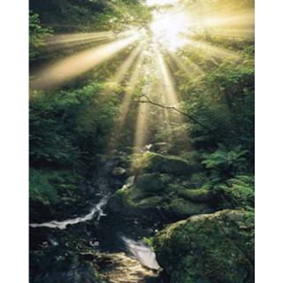 👉 Komar Divine Vlies Fotobehang 200x250cm 2-banen