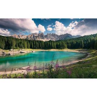 👉 Komar Dolomitenjuwel Vlies Fotobehang 450x280cm 9-banen
