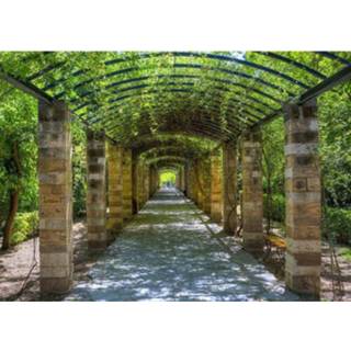 Papermoon Tuin Van Athene Vlies Fotobehang 350x260cm