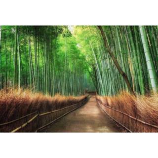 👉 Wizard+genius Bamboo Grove Kyoto Vlies Fotobehang 384x260cm 8-banen