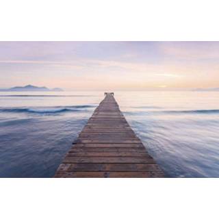 👉 Komar Peace Vlies Fotobehang 400x250cm 4-banen