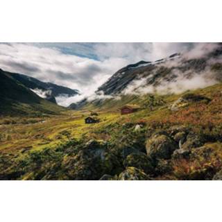 👉 Fotobehang Komar Pure Norway Vlies 450x280cm 9-banen 4055065111693