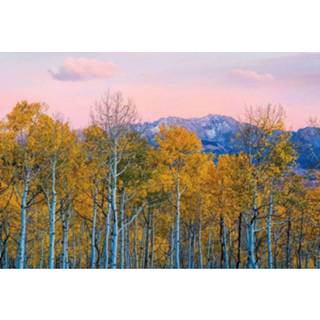 👉 Wizard+genius Birches And Mountains Vlies Fotobehang 384x260cm 8-banen
