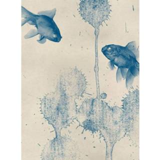 Wizard+genius Blue Fish Vlies Fotobehang 192x260cm 4-banen Wizard+genius Blue Fish Vlies Fotobehang 192x260cm 4-banen