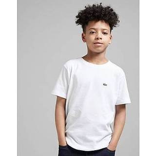 👉 Lacoste Small Logo T-Shirt Junior - Kind